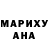 ГАШ гарик Canada 6795