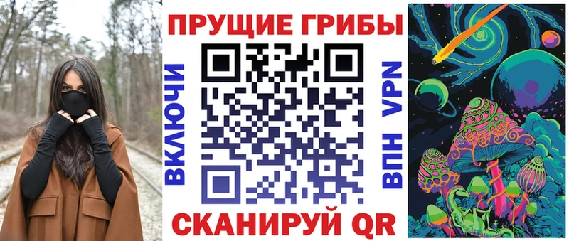 что такое   Лермонтов  Псилоцибиновые грибы Cubensis 