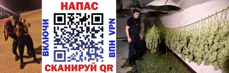 Бошки марихуана LSD WEED наркошоп Лермонтов